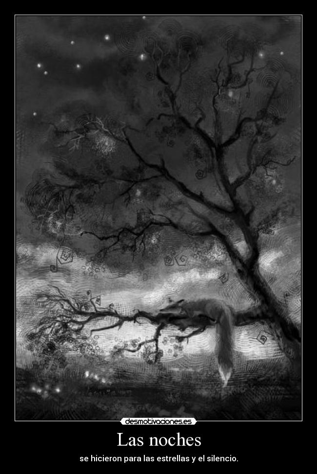 Las noches - se hicieron para las estrellas y el silencio.