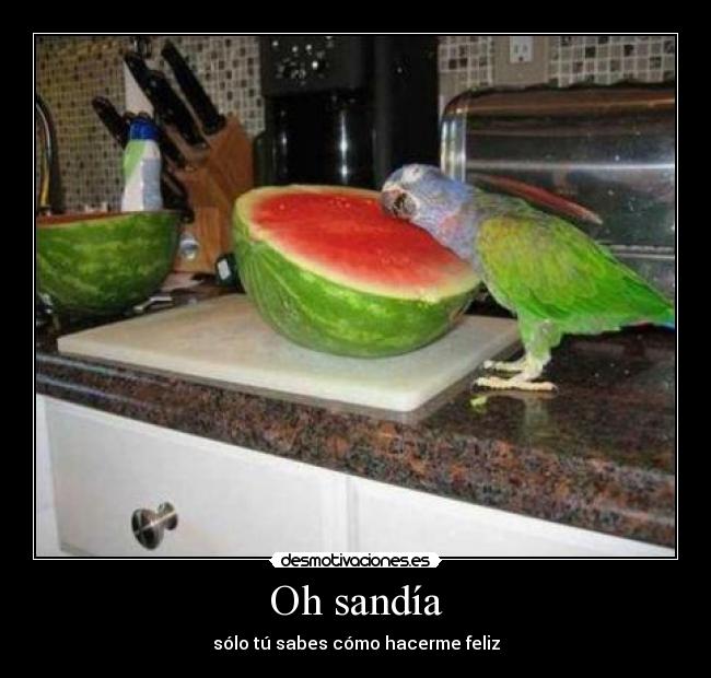 Oh sandía - 