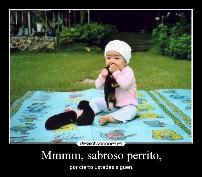 Mmmm, sabroso perrito, -