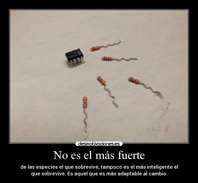 carteles darwin fuerte sobrevive gibson2528 desmotivaciones