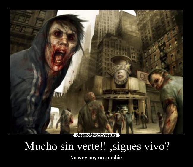 carteles preguntas estupidas desmotivaciones