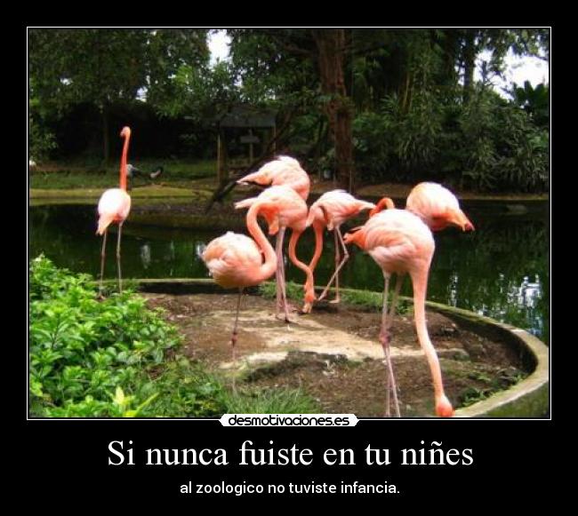 Si nunca fuiste en tu niñes -