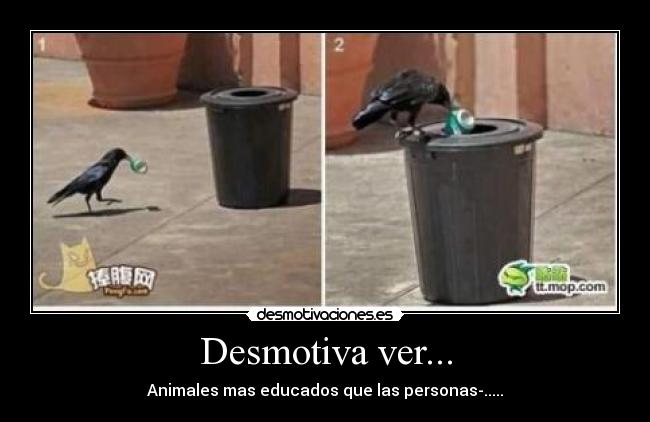 Desmotiva ver... -