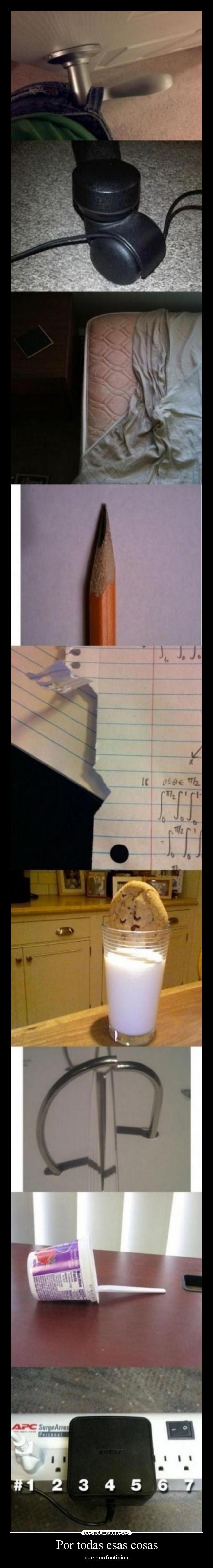 Por todas esas cosas -