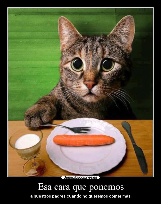 Esa cara que ponemos - a nuestros padres cuando no queremos comer más.