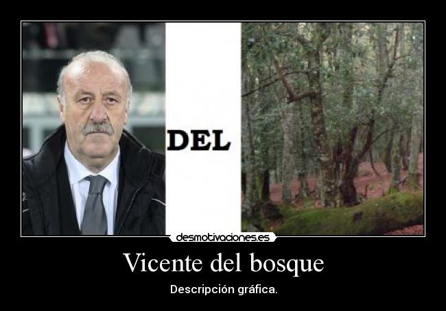 Vicente del bosque - 