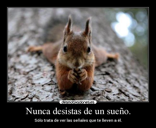 Nunca desistas de un sueño. -