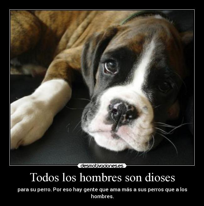 Todos los hombres son dioses -