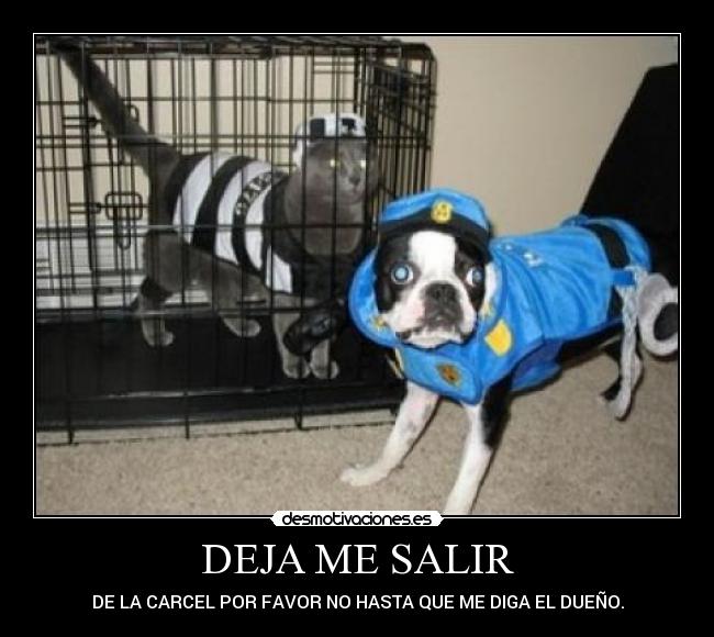 DEJA ME SALIR -