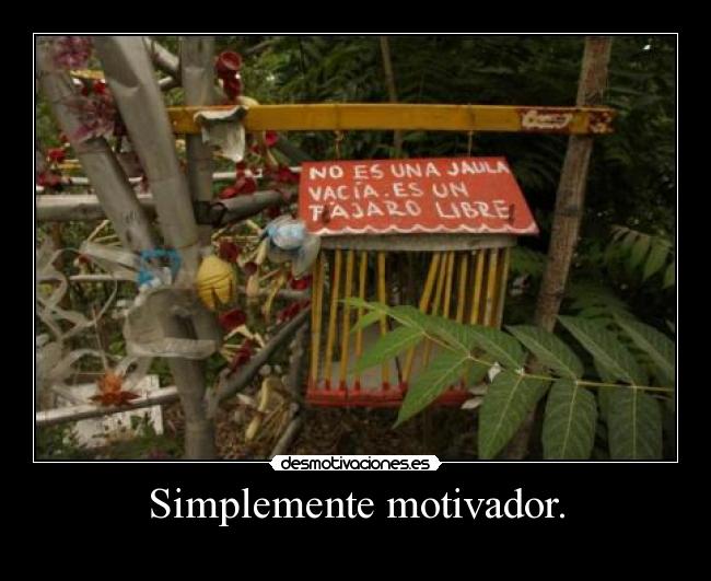 Simplemente motivador. -