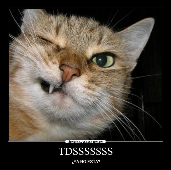 TDSSSSSSS - ¿YA NO ESTA?