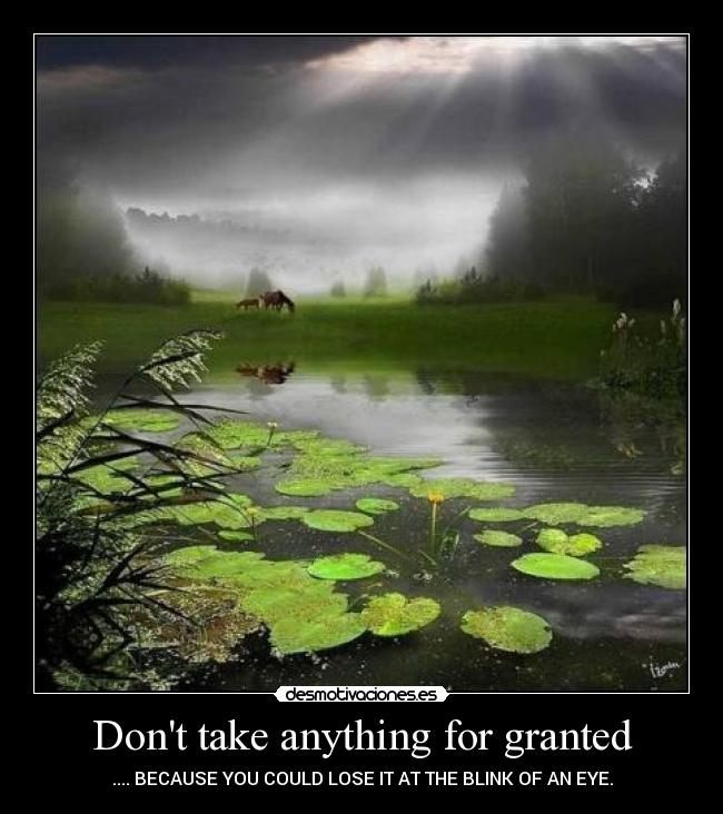 Dont take anything for granted - .... BECAUSE YOU COULD LOSE IT AT THE BLINK OF AN EYE.