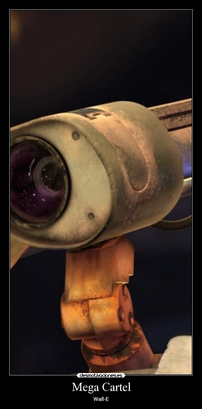 Mega Cartel - Wall-E