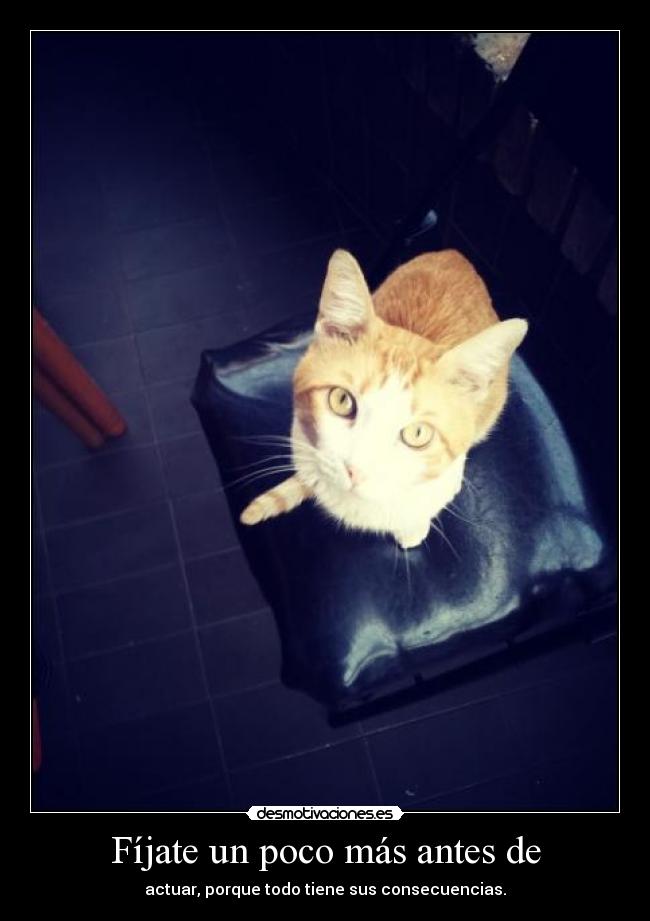 Fíjate un poco más antes de -