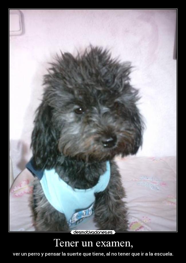 Tener un examen, -