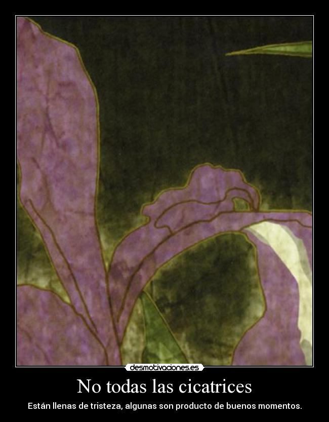 No todas las cicatrices - Están llenas de tristeza, algunas son producto de buenos momentos.