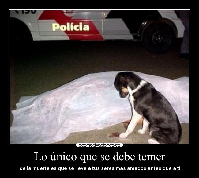 Lo único que se debe temer -