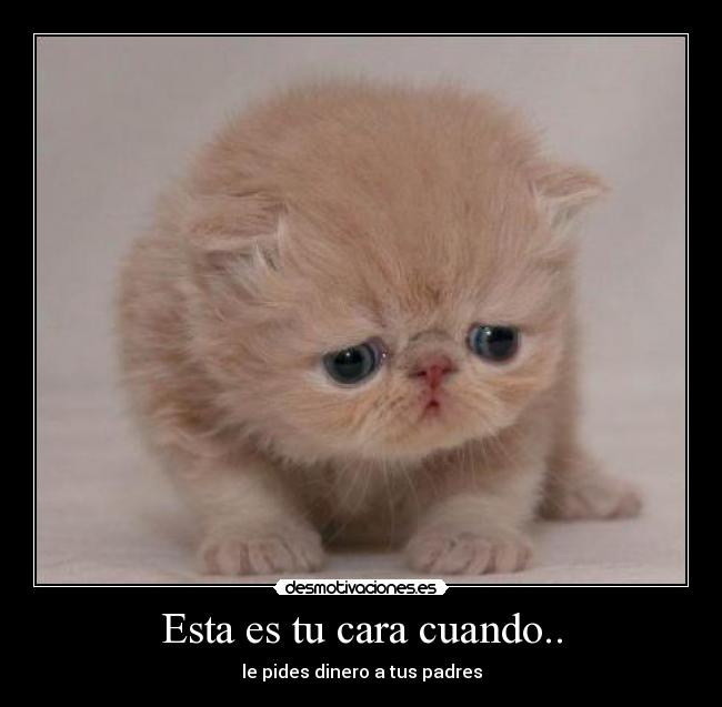 Esta es tu cara cuando.. - 