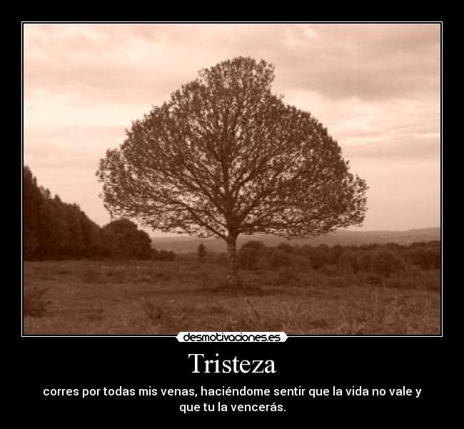 Tristeza - 