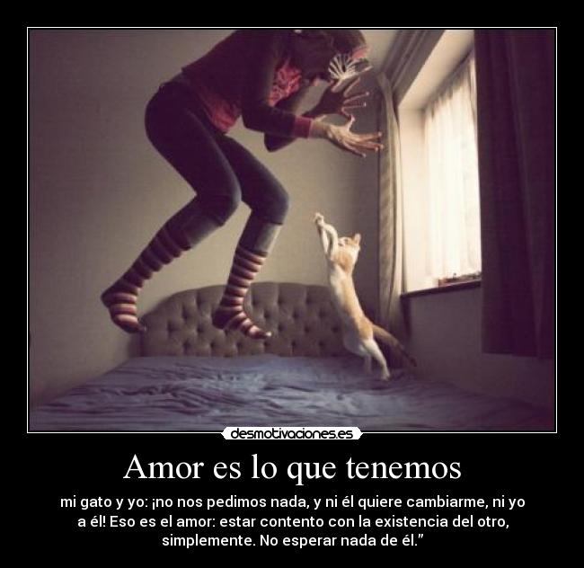 Amor es lo que tenemos - mi gato y yo: ¡no nos pedimos nada, y ni él quiere cambiarme, ni yo
a él! Eso es el amor: estar contento con la existencia del otro,
simplemente. No esperar nada de él.”