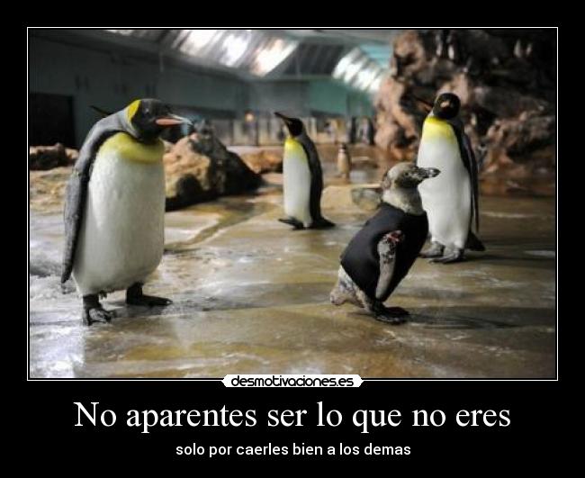 No aparentes ser lo que no eres -