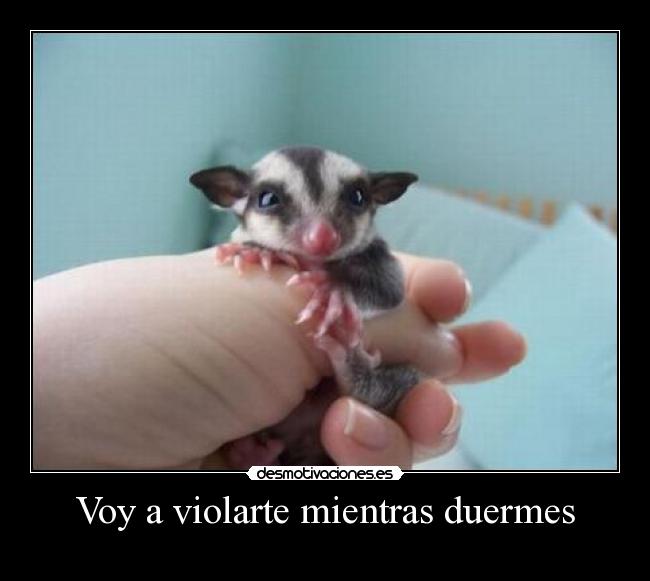 Voy a violarte mientras duermes - 