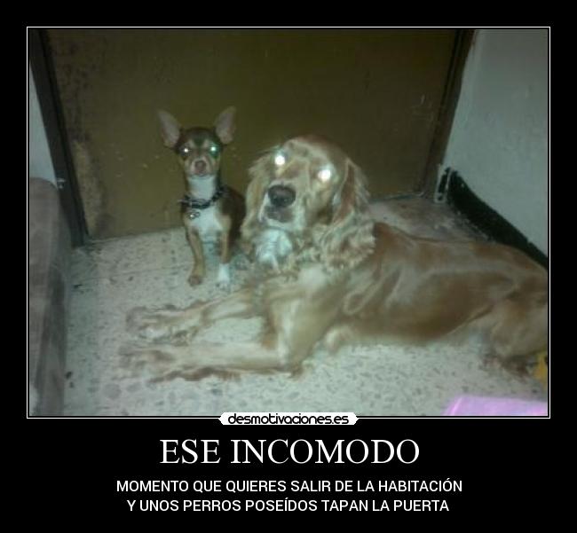 carteles mundo desmotivaciones