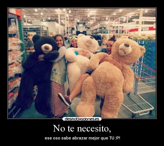 carteles oso desmotivaciones