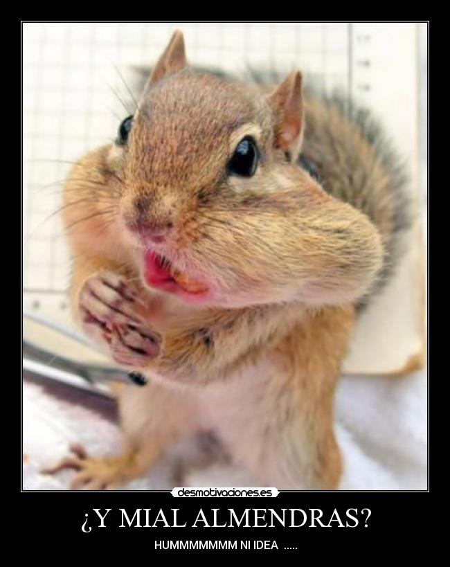 ¿Y MIAL ALMENDRAS? - HUMMMMMMM NI IDEA  .....