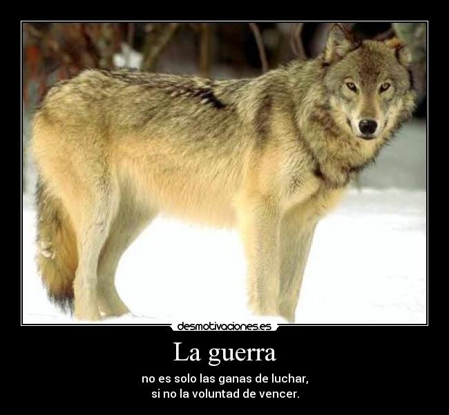 carteles guerra luchemos por libertad voten positivo ahora ewe desmotivaciones