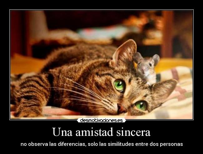 carteles amistad amistad desmotivaciones