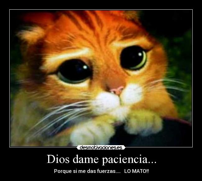 Dios dame paciencia... - Porque si me das fuerzas....   LO MATO!!