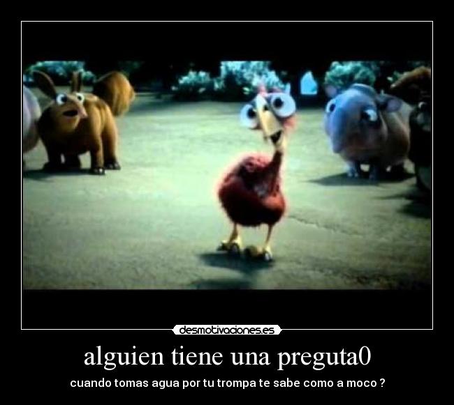 alguien tiene una preguta0 - 