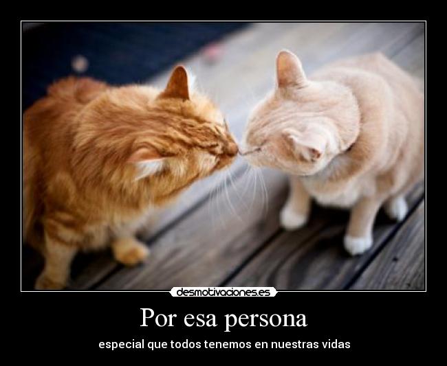Por esa persona - 