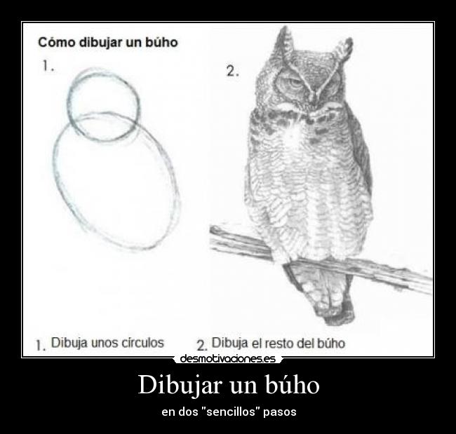 Dibujar un búho -