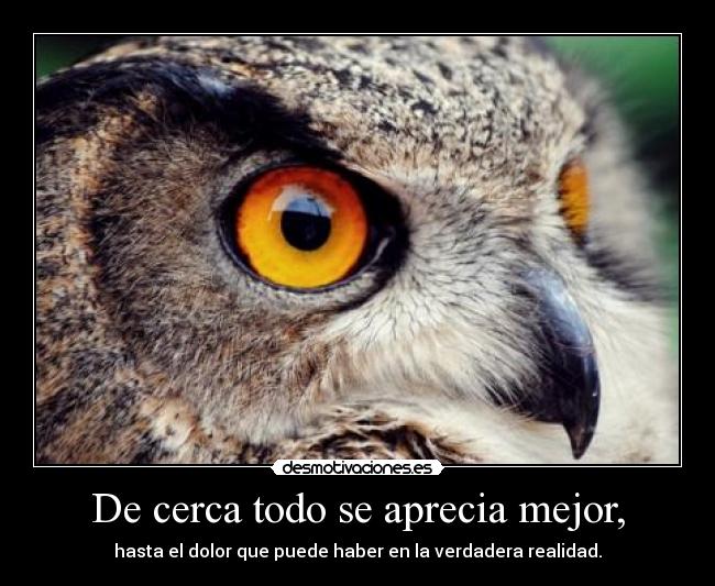 De cerca todo se aprecia mejor, - hasta el dolor que puede haber en la verdadera realidad.
