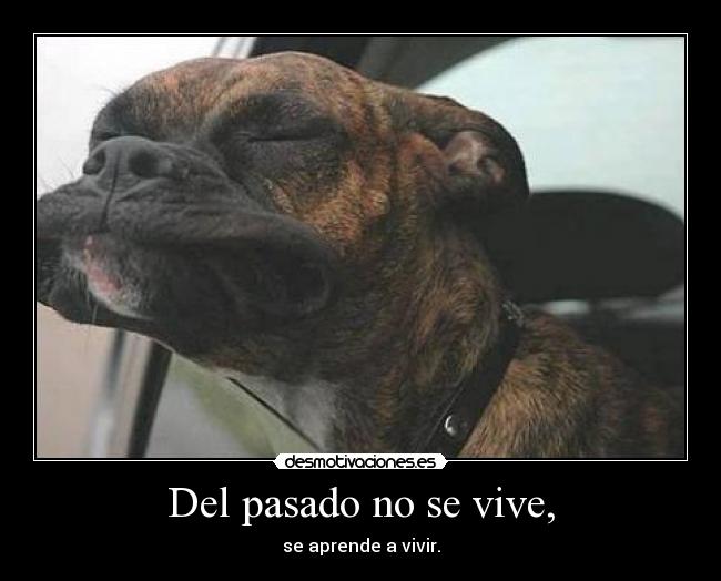 Del pasado no se vive, - se aprende a vivir.