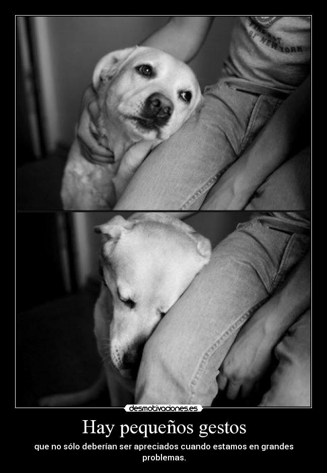 Hay pequeños gestos - que no sólo deberían ser apreciados cuando estamos en grandes problemas.