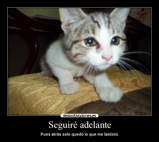 Seguiré adelante - 
