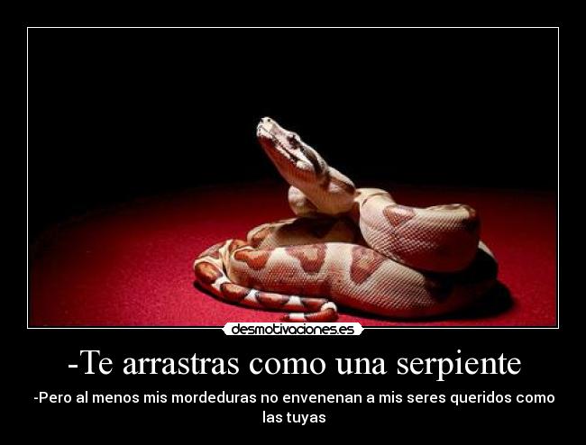 -Te arrastras como una serpiente -