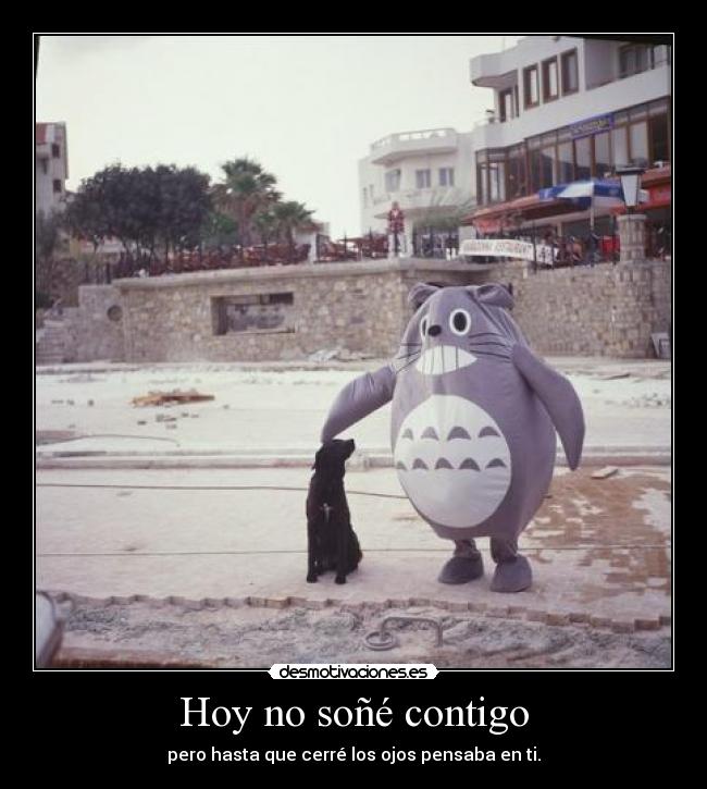 Hoy no soñé contigo - pero hasta que cerré los ojos pensaba en ti.