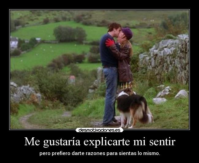 Me gustaría explicarte mi sentir - pero prefiero darte razones para sientas lo mismo.
