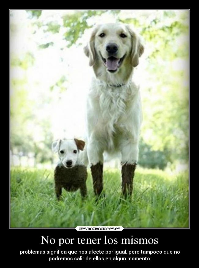 No por tener los mismos - problemas significa que nos afecte por igual, pero tampoco que no
podremos salir de ellos en algún momento.