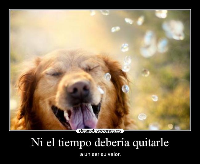 Ni el tiempo debería quitarle - a un ser su valor.