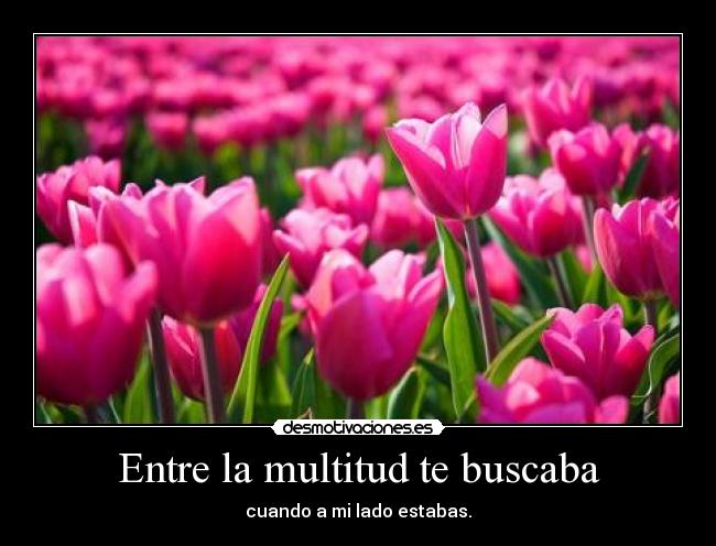 Entre la multitud te buscaba - cuando a mi lado estabas.