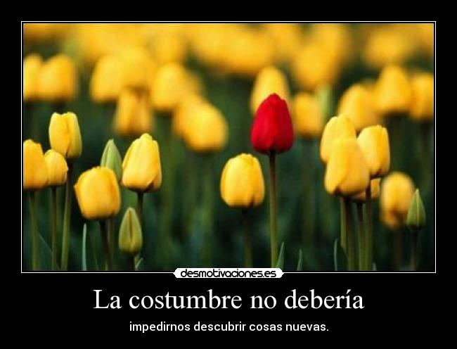 La costumbre no debería - impedirnos descubrir cosas nuevas.