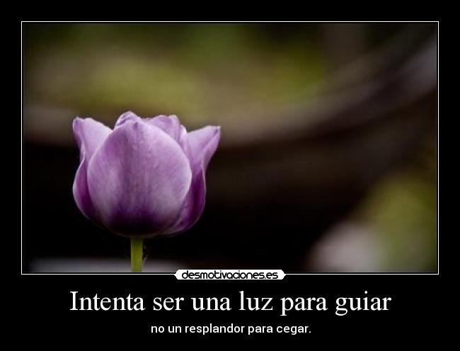 Intenta ser una luz para guiar - no un resplandor para cegar.