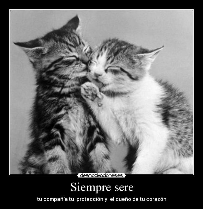 Siempre sere -
