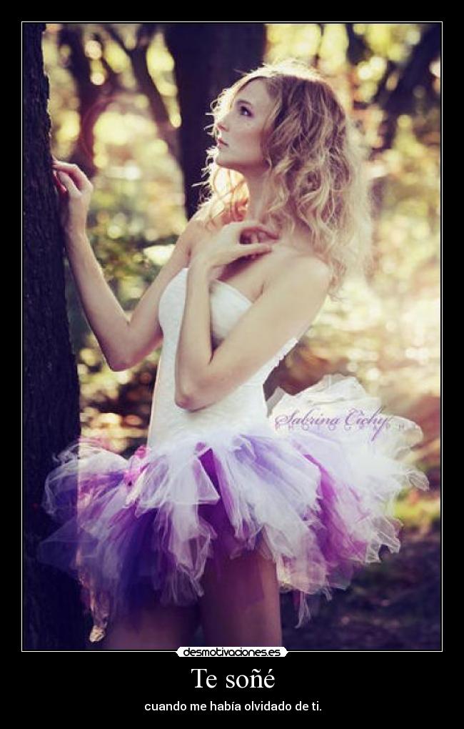 Te soñé -