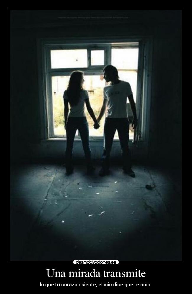 carteles amoor desmotivaciones